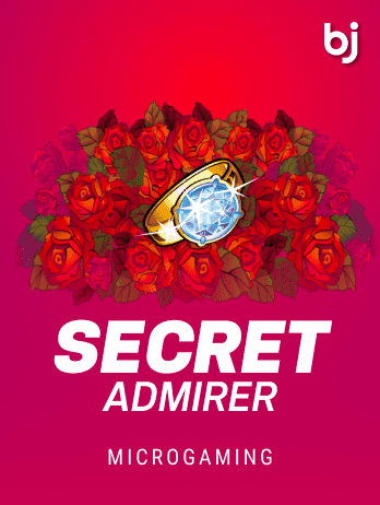 Secret Admirerpng screenshot